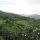 질가마골 이미지