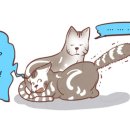 일리그루밍 이미지