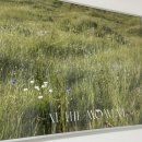 백화stay 네이버블로그