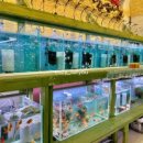 엔젤아쿠아펫가든 이미지