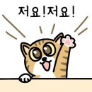 조아컴퍼니 네이버블로그