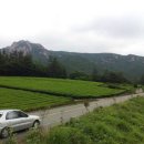 [여행] 2012.06.30 ~ 07.03 전남여행(화순,보성,영암,장흥,강진,해남,완도,신안 증도) #2