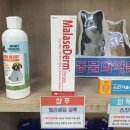 서문사랑약국 이미지