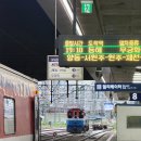 영월-7 | 영월 당일치기 여행 후기 | 김삿갓계곡부터 청령포, 장릉, 영월서부시장까지 알찬 코스