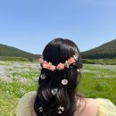 성읍리-4 이미지