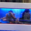 금성수산 이미지