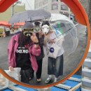 저동 수협 앞 | 젊은이 끼리 패키지로 울릉도▪︎독도 가기[3일차]