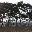 구자농장 이미지