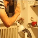 파이브 PC방 이미지