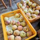 공수농장 이미지