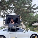 석남완충도시숲 | 포르쉐 올레 드라이브! 타이칸 타고 제주를 마음껏 누비기 + 다도 에가톳 라이브러리