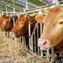 서천소방서-80 이미지