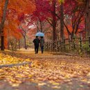 선동리 고분군 | 경기 광주시 추천지 - 화담숲과 역사문화재 남한산성, 특색 먹거리