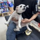 오동약국 이미지