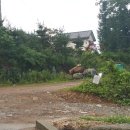 경기도 양평군 대아초등학교 이미지