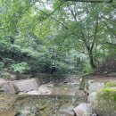 이동균행정사사무소 이미지