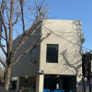 진애견 | 종로 카페_시즌 ｜2층으로 이루어진 느좋카페 후기, 주차장, 애견동반 내부출입 가능