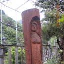 산철죽 군락지 이미지