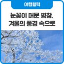 진벌목장 네이버블로그