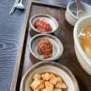 자연의 원죽 | 봉은사 삼성 13년 넘은 단골 맛집 자연은원죽 솔직후기