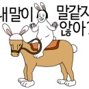 다포유 이미지