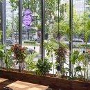 안테룸 서울 이미지