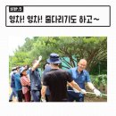 큰솔농장 이미지