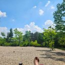 블루마린 캠핑장 이미지