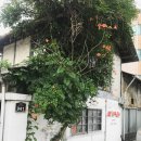 맘스터치 자인점 이미지