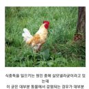 네오유여성비뇨기과의원 이미지