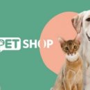 케이나인종합동물병원 이미지