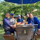 안시농장 이미지