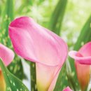 LED플라워 화분 제작 이미지