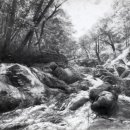 연필소묘 이미지