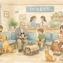 다우세무컨설팅 네이버블로그