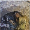 수원-1551 이미지