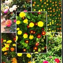 염곡사거리 코트라 앞 이미지