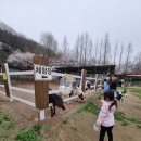 흥천목장 이미지