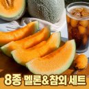 고령 파파야 노을메론 설향 칸탈로프 백자 세지 하미과 양구멜론 개구리참외 2kg 5kg 당도 높은 후기
