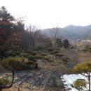 여주-1117 네이버블로그