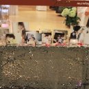 아이러뷰(I LOVE YOU)