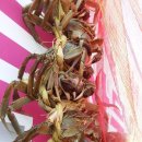 까치내마을 이미지