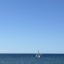 하나카페2 이미지