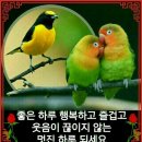아름답다 Daum카페
