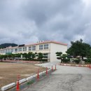 동초등학교 이미지