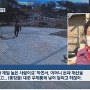 보이스피싱 당한 시어머니…며느리가 추격전 벌여 검거 이미지