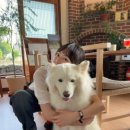 라라목장 이미지