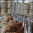 최선농장 이미지