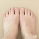 퍼플코코네일 이미지