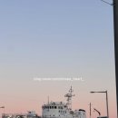 방어진 근대역사거리 | 근대역사거리 산책하다가 들른 붕어빵연구소 후기